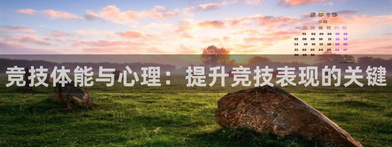 球客岛：竞技体能与心理：提升竞技表现的关键
