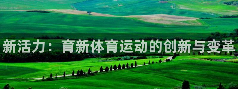 球客岛：新活力：育新体育运动的创新与变革