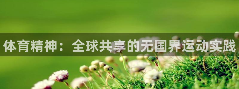 球客岛：体育精神：全球共享的无国界运动实践