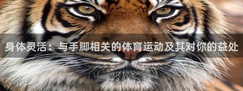球客岛：身体灵活：与手脚相关的体育运动及其对你的益处