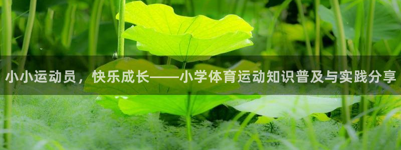 球客岛：小小运动员，快乐成长——小学体育运动知识普及与实践分享