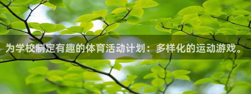 球客岛：为学校制定有趣的体育活动计划：多样化的运动游戏。