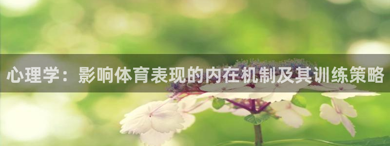 球客岛：心理学：影响体育表现的内在机制及其训练策略