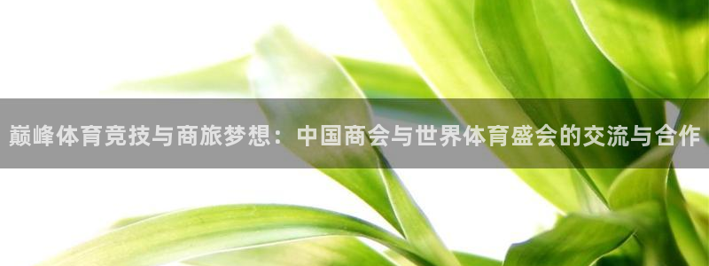 球客岛：巅峰体育竞技与商旅梦想：中国商会与世界体育盛会的交流与合作