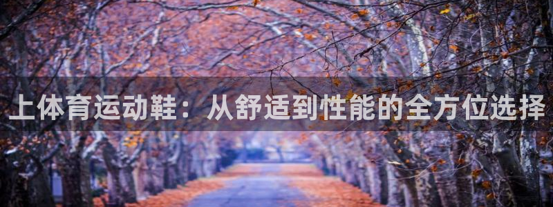 球客岛：上体育运动鞋：从舒适到性能的全方位选择