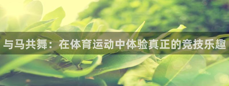 球客岛：与马共舞：在体育运动中体验真正的竞技乐趣
