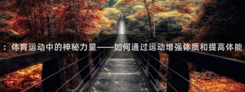 球客岛：：体育运动中的神秘力量——如何通过运动增强体质和提高体能