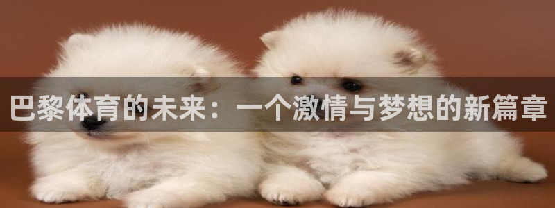 球客岛：巴黎体育的未来：一个激情与梦想的新篇章